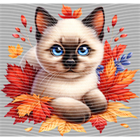 Animal Integration-DW 671